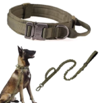 [Leash + Dog Collar] Army Green