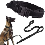 [Leash + Dog Collar] Black