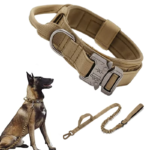 [Leash + Dog Collar] Khaki