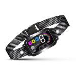 Training Collar Black