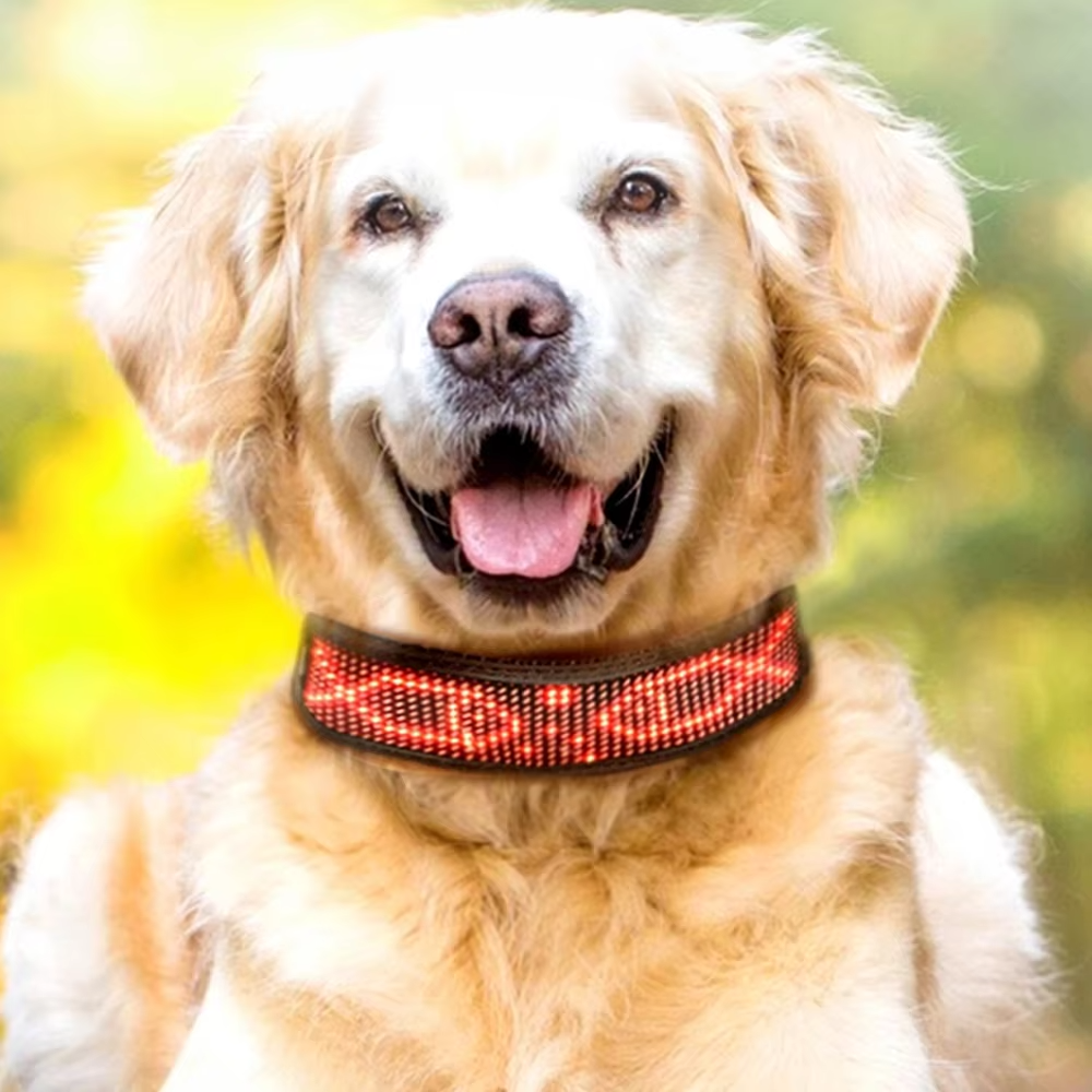 Happy golden retriever dog wearing red smart LED collar with light up dot matrix display