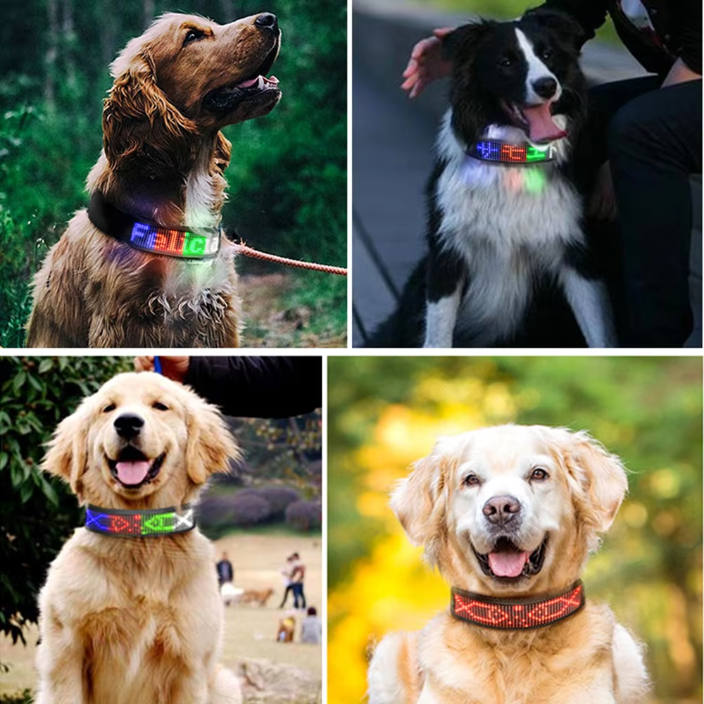 Four grid display of golden retriever and border collie dogs wearing custom programmable smart LED collars in multi color lighting options