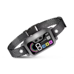 Training Collar Grey