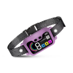 Training Collar Purple