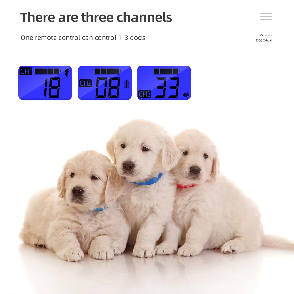 Remote control display for dog training collar supporting 3-channel multiple pet training