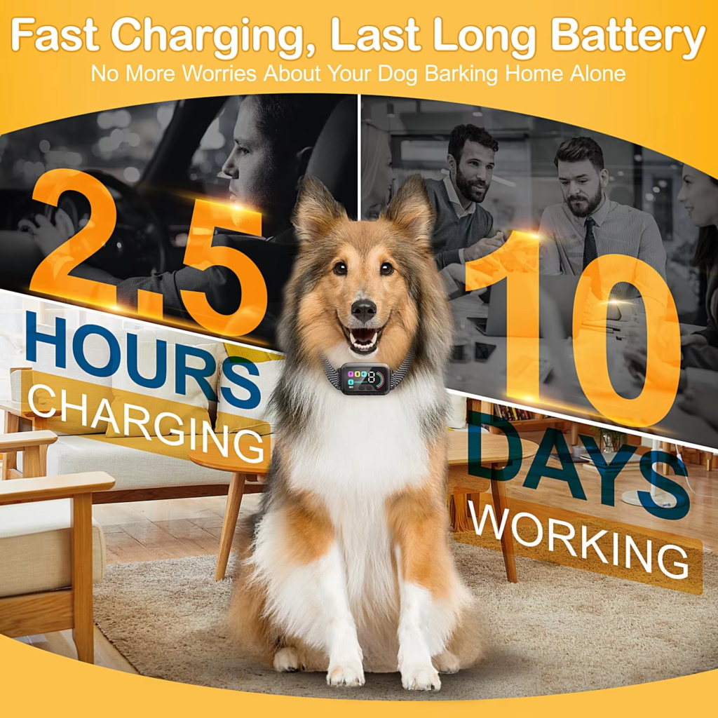Rechargeable smart dog bark collar with fast 2.5-hour charging and 10-day long-lasting battery life.