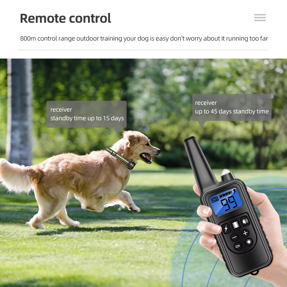 Remote control dog training collar in action for professional pet behavior management