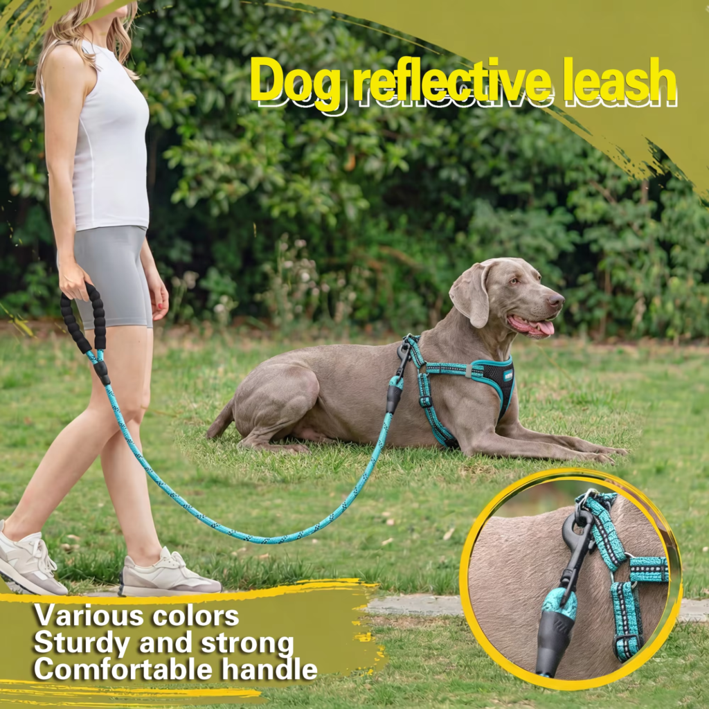 Custom heavy duty reflective nylon dog leash for large dogs